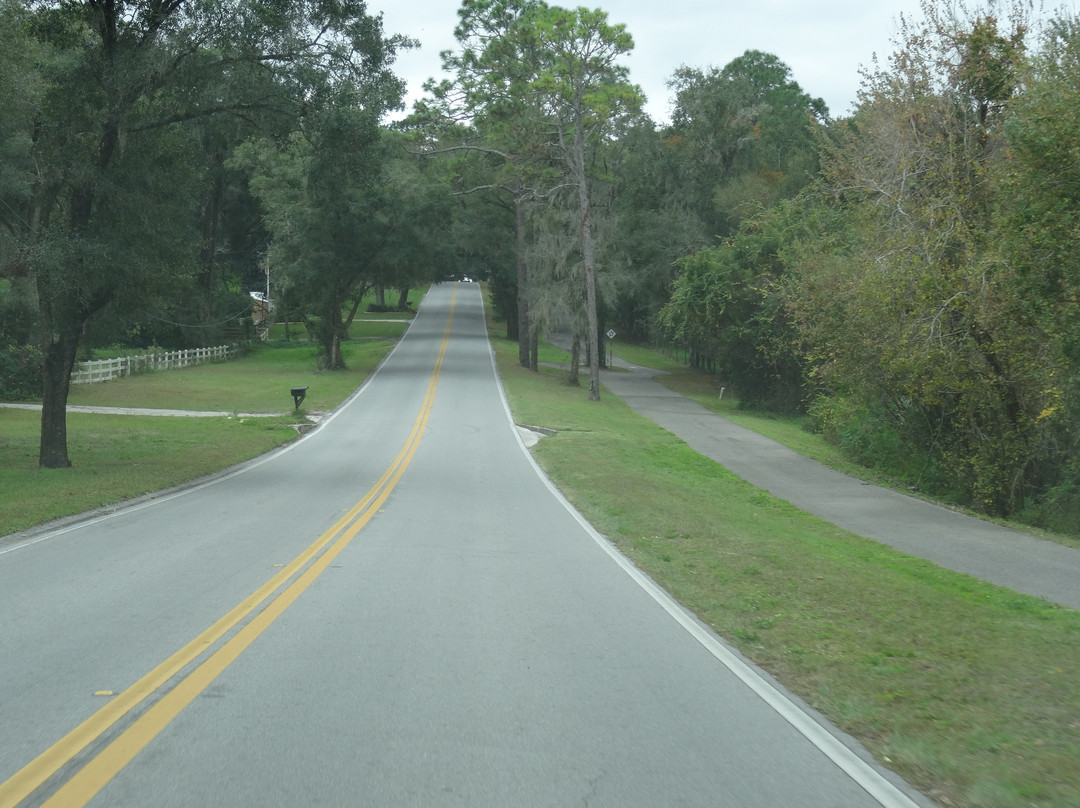 Spring to Spring Trail-DeBary必去景点
