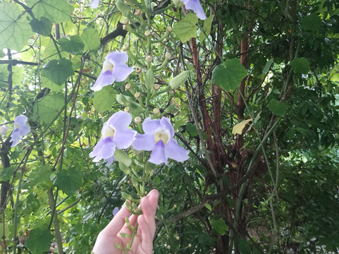 何南度假酒店主图