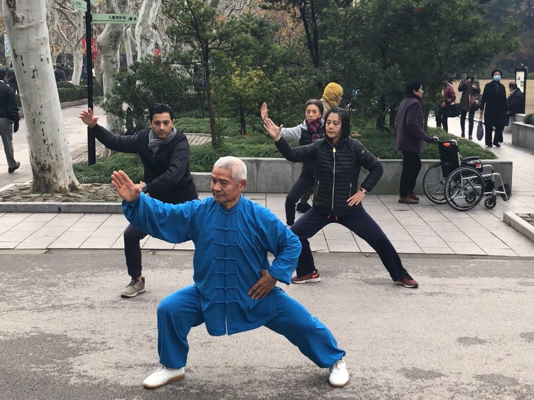 Shanghai Lily Tours-上海市必去景点