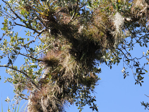 Ten Mile Creek Preserve-匹尔斯堡必去景点