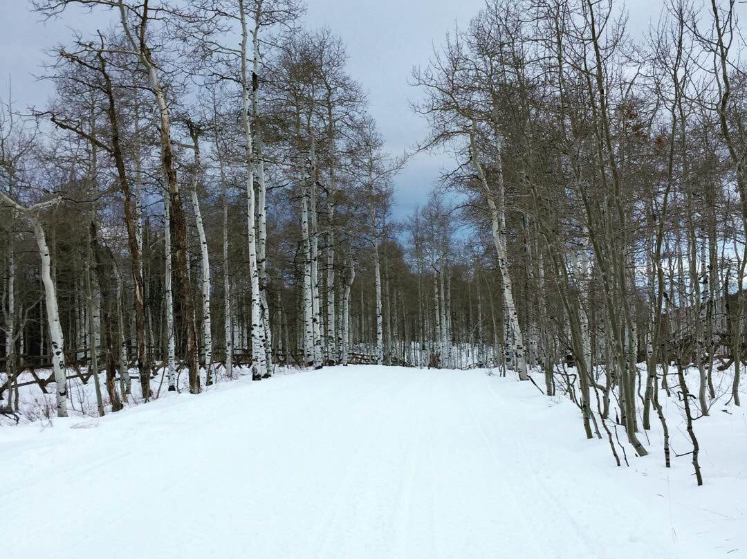 Uinta National Forest景点图片