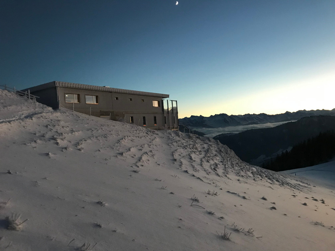 Steinerberg餐馆和美食-Berggasthaus Wildspitz