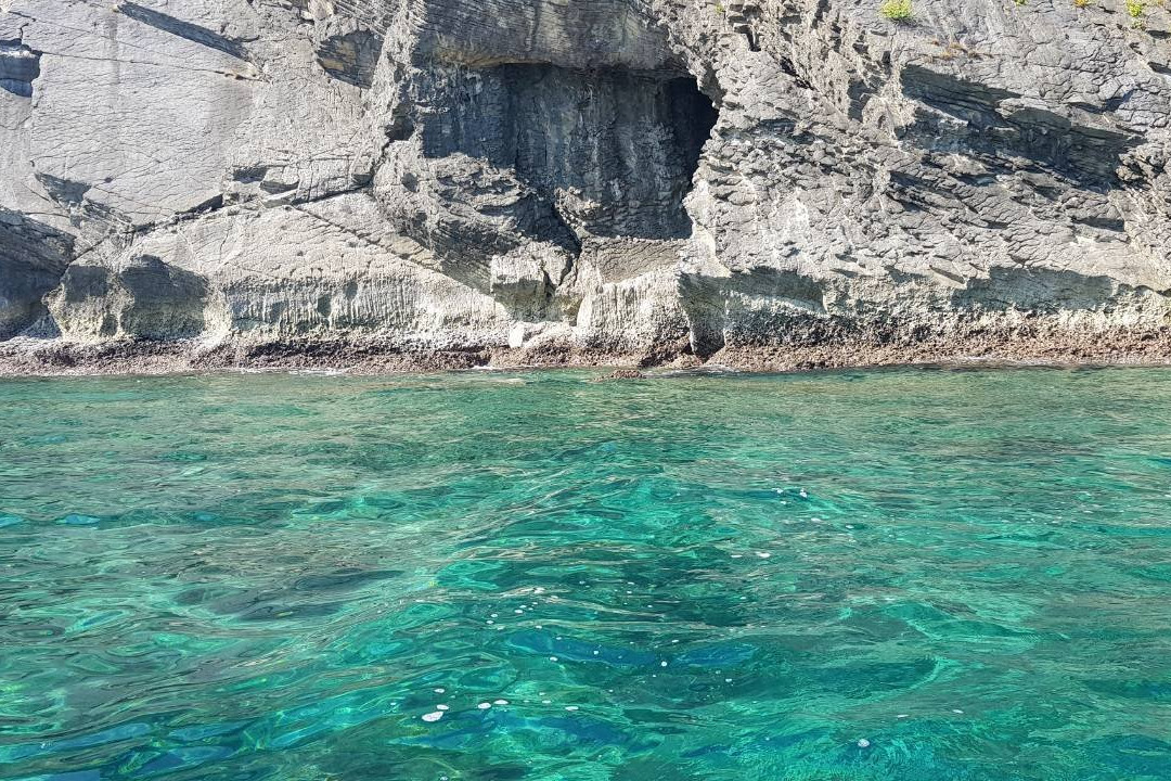 Bird Island-内维桑必去景点