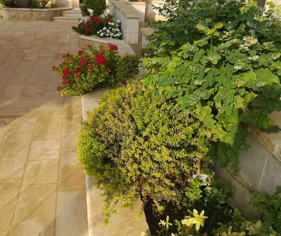 Bab Alshams Resort主图