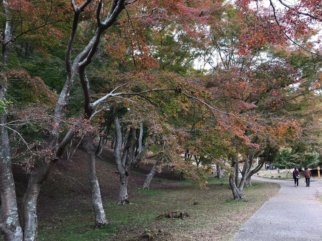 Shuzenji Nature Park景点图片