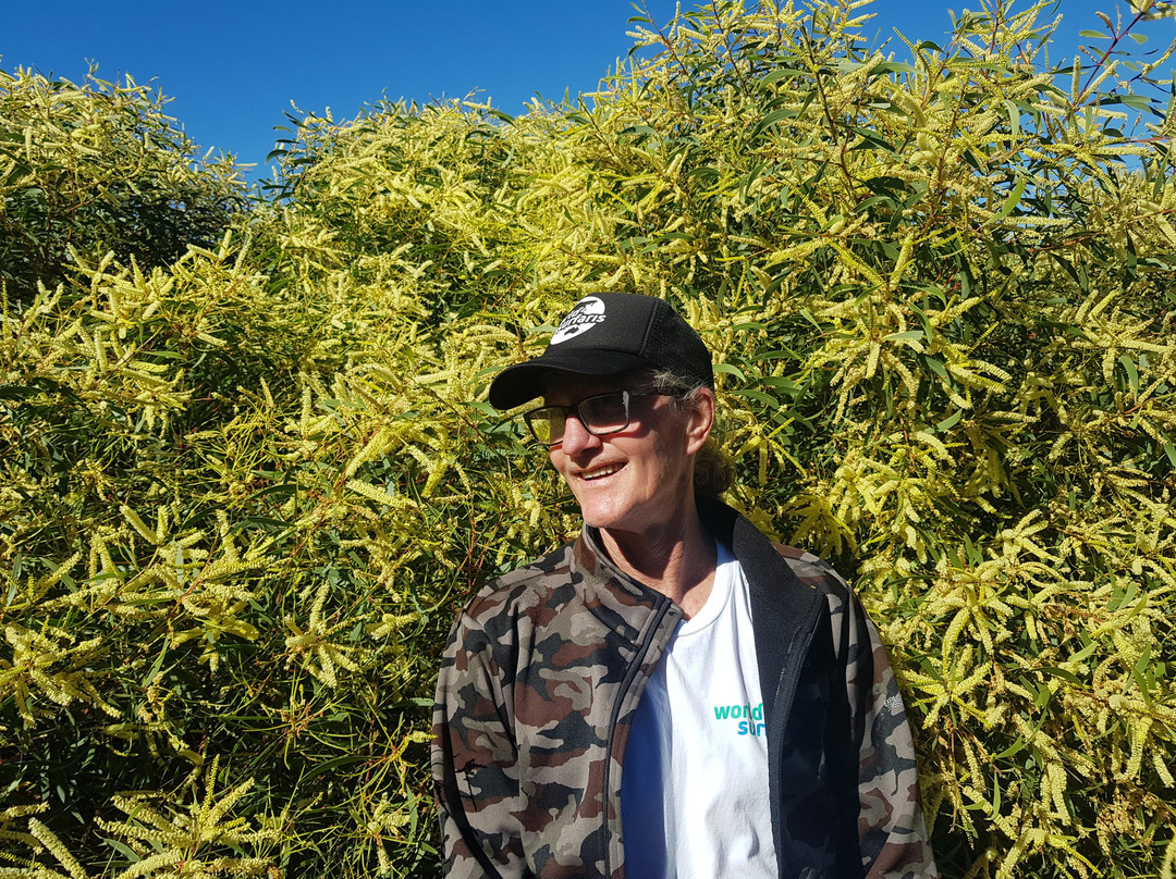 Aussie Beach Tours-阳光海岸必去景点