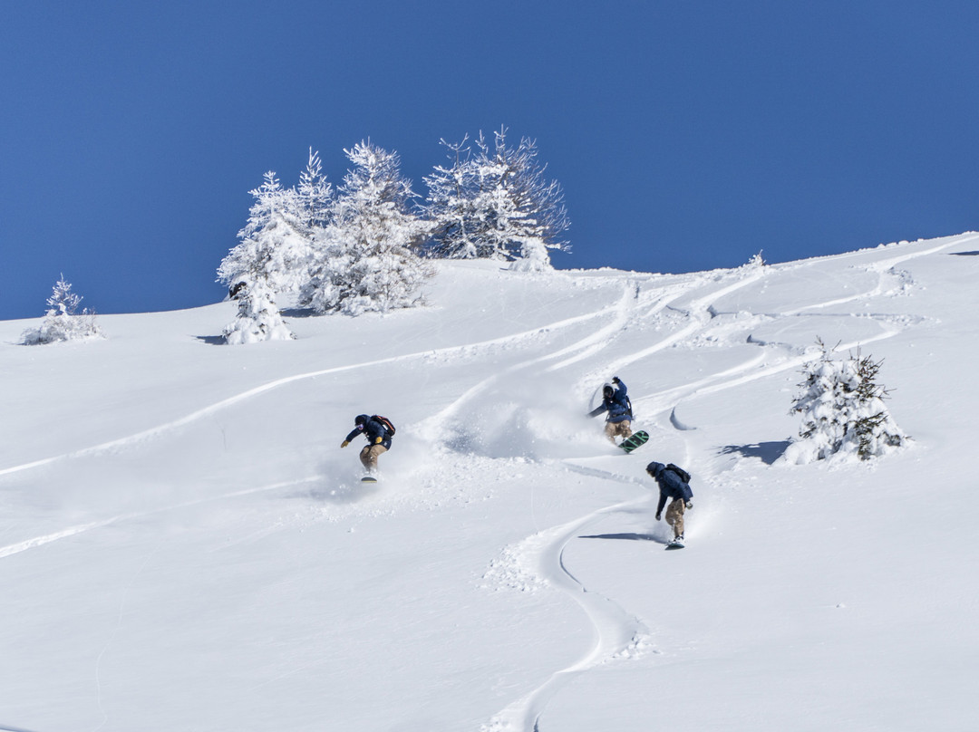 Vivid Snowboarding-韦比尔必去景点