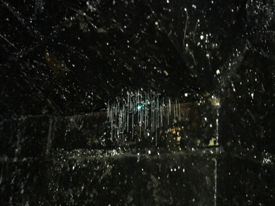 Old Helensburgh Station-海伦斯堡必去景点