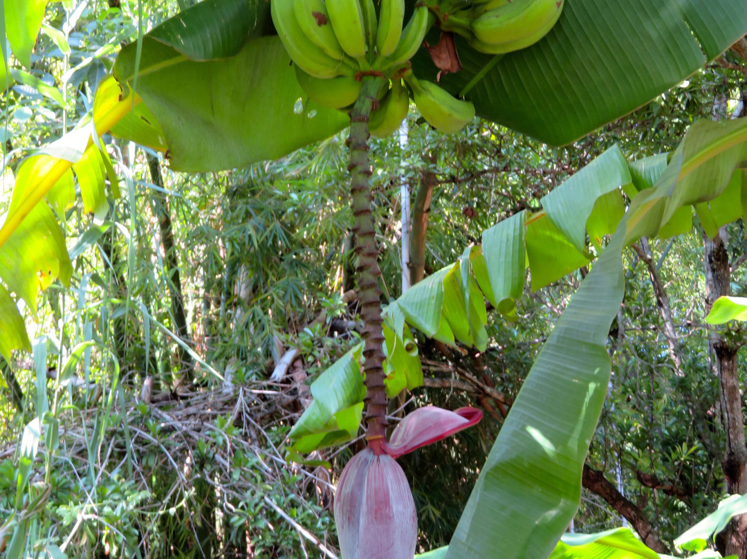 Ex Hacienda de Nogueras-Comala必去景点