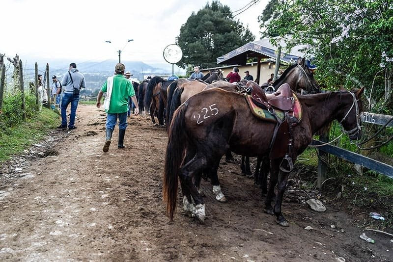 Cabalgatas Oriente-麦德林必去景点
