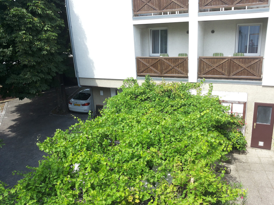 Hotel Voslauerhof主图