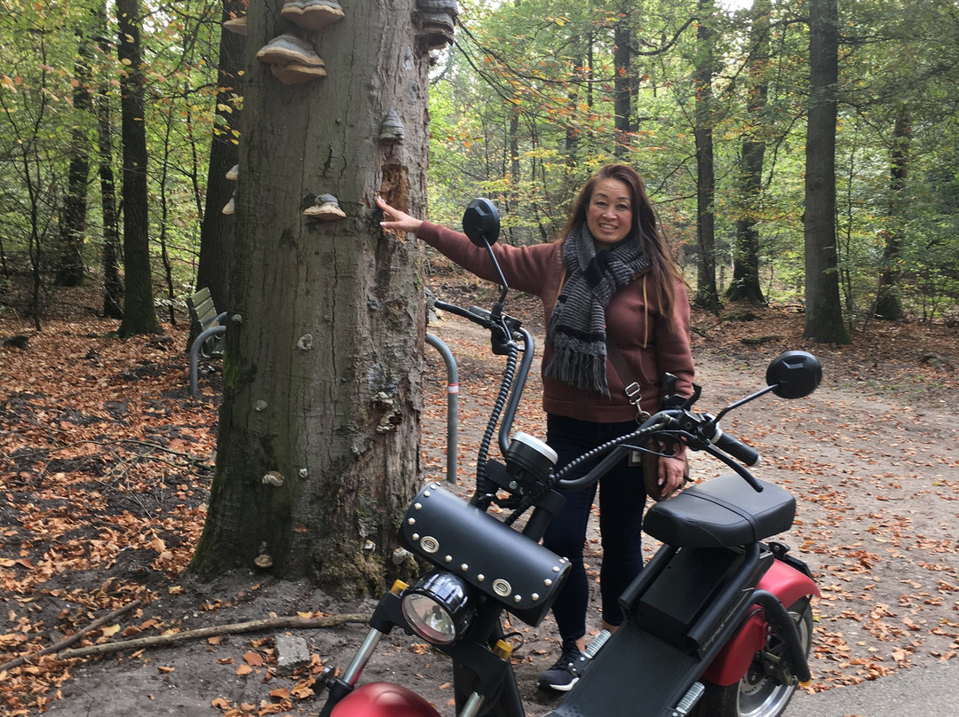 Veluwe Specialist Hoenderloo景点图片