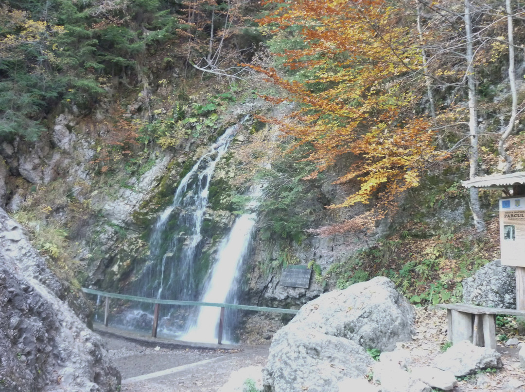 布什泰尼旅游攻略图片