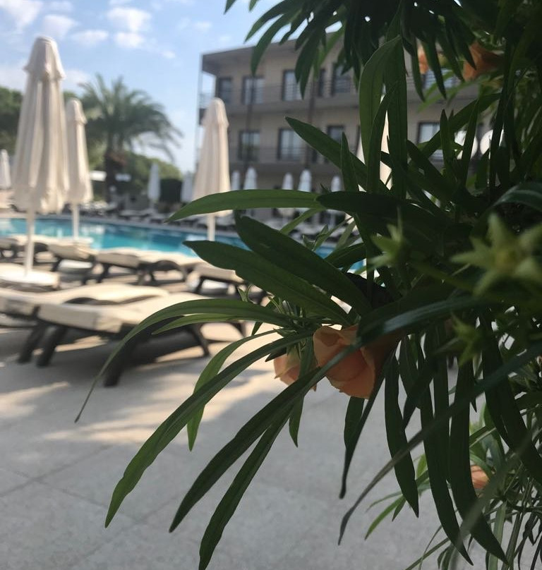 The Pines Guest Rooms主图