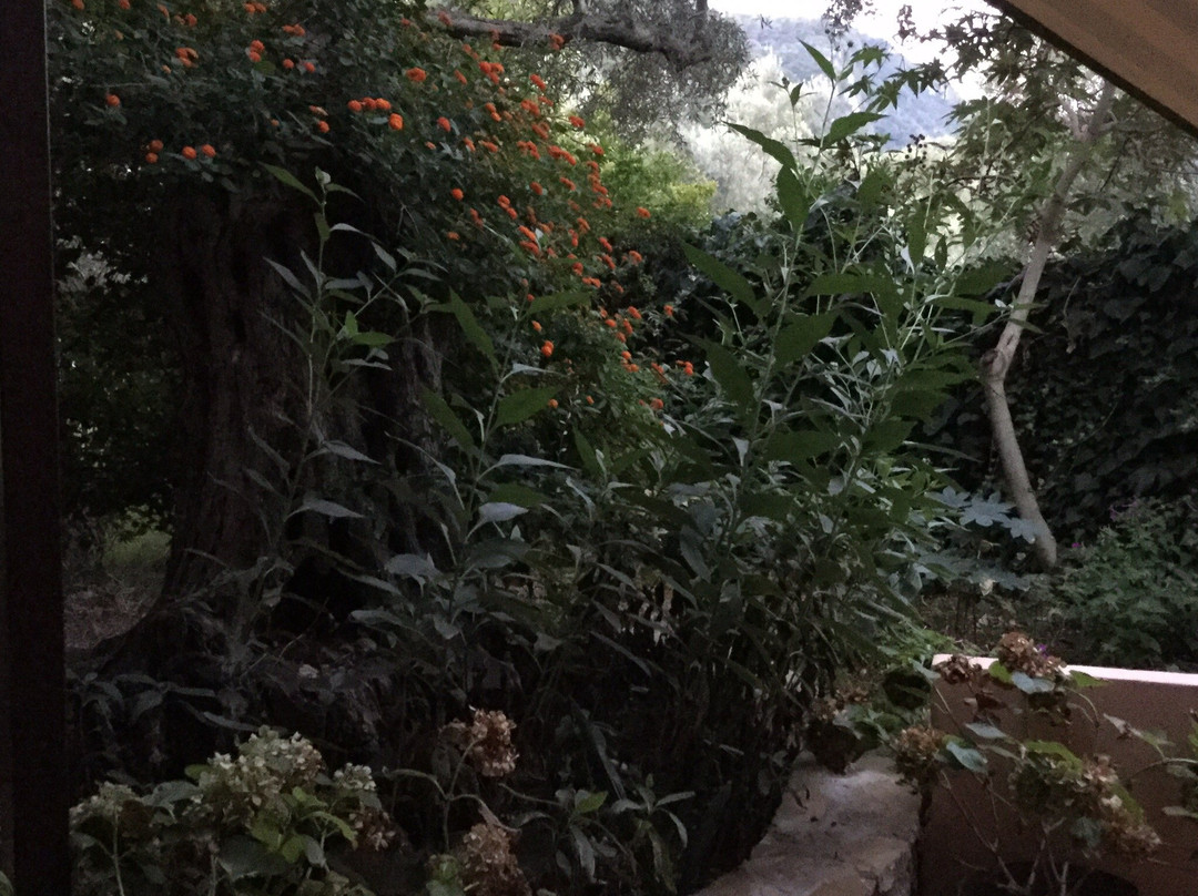 Alexaria Holiday Homes主图