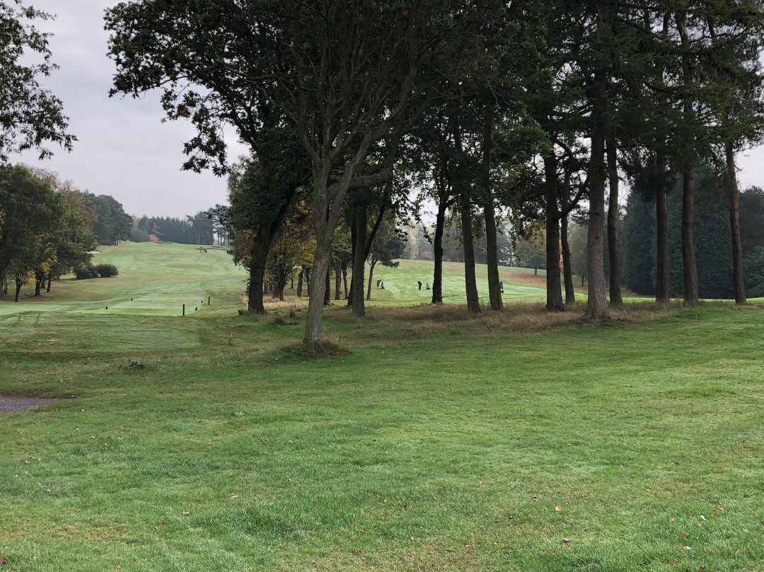 Sand Moor Golf Club景点图片