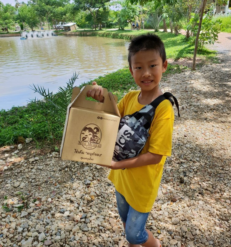 Mini Murrah Farm-万玻必去景点