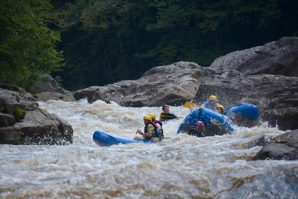 Precision Rafting Expeditions景点图片