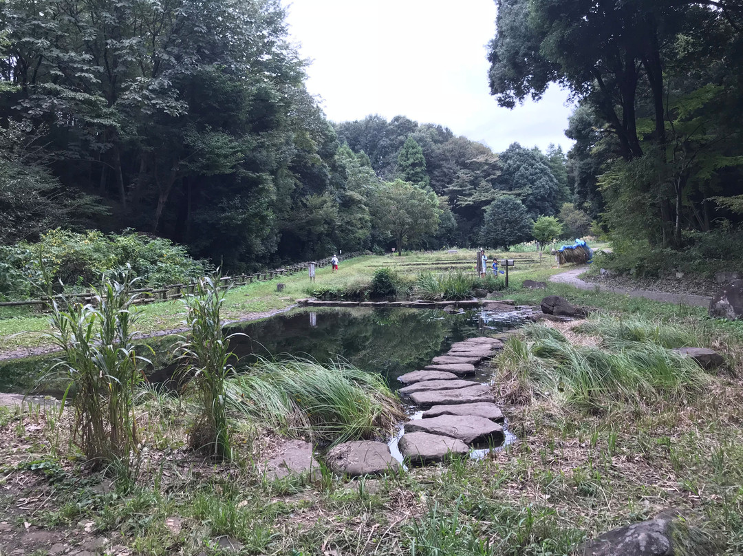 Tadao Park景点图片