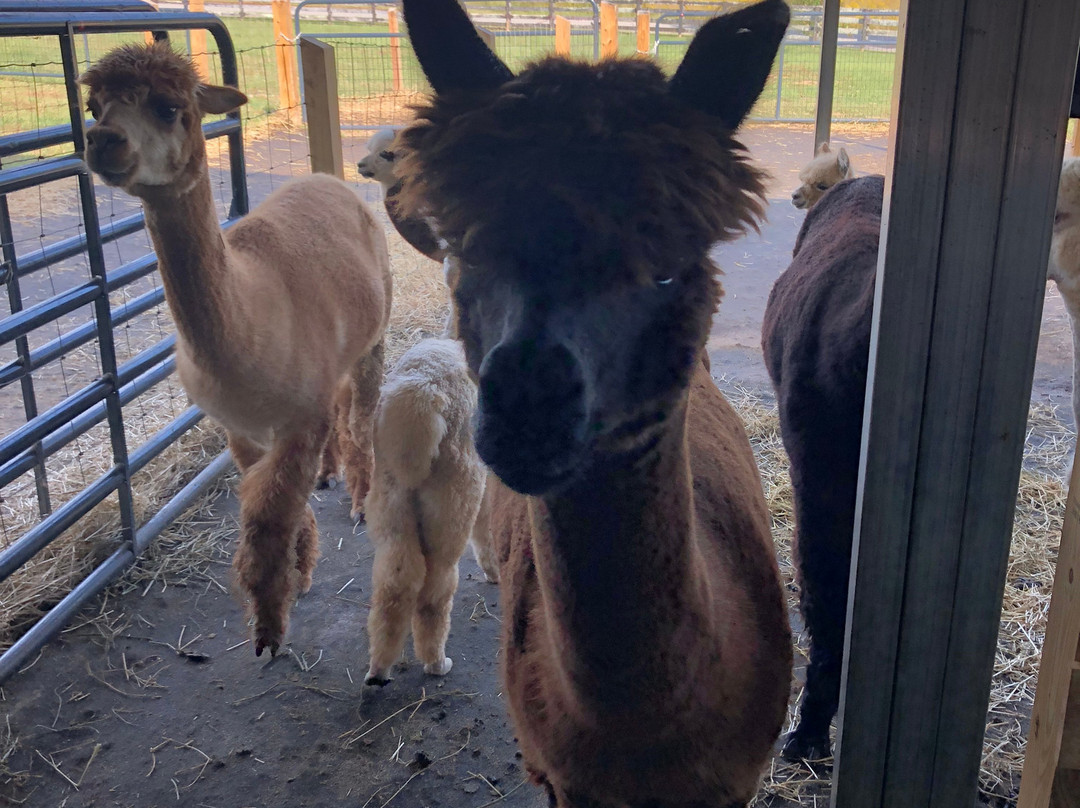 Shaw Farms-纽南必去景点