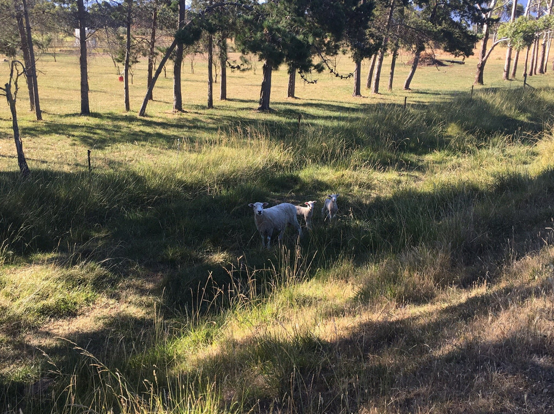 Misty River Retreat主图