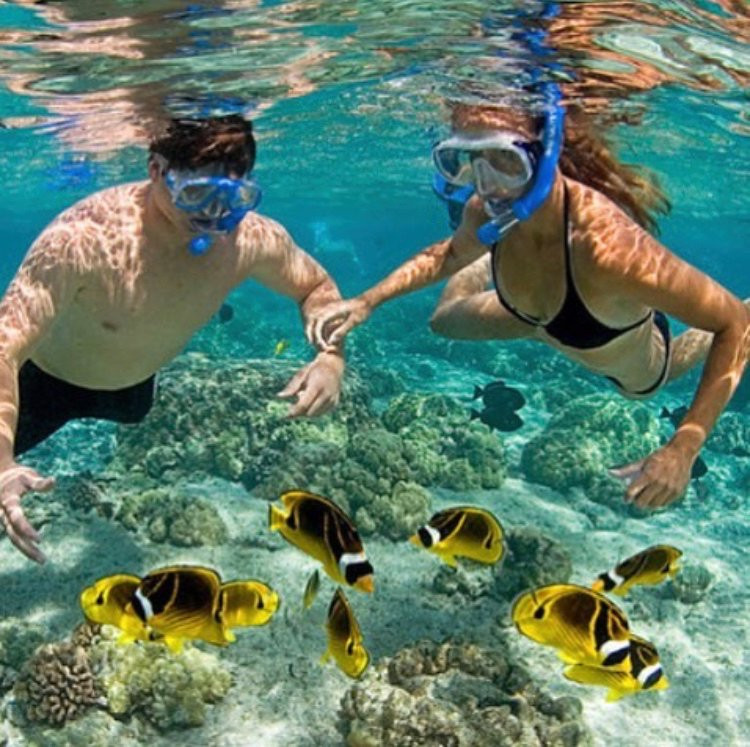 Hanalei Trading Company-哈纳雷伊必去景点