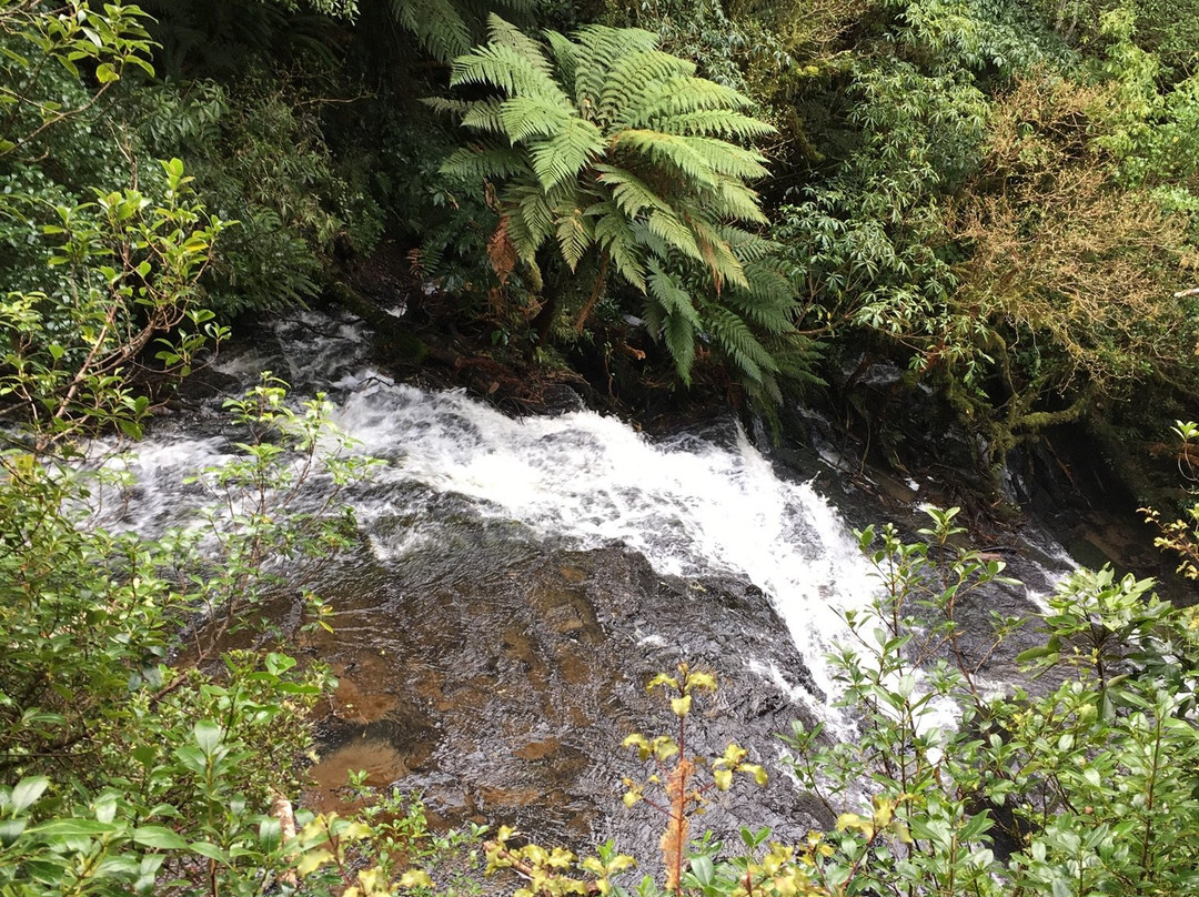 Purakaunui Falls景点图片