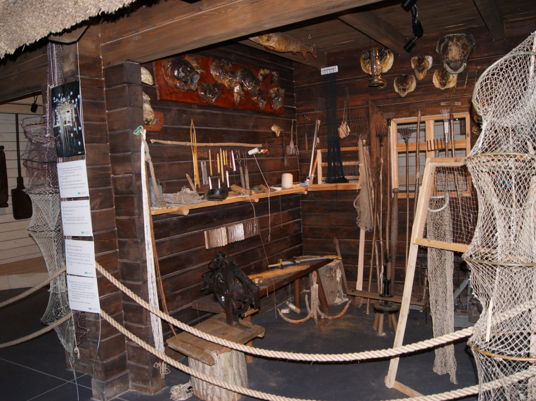 Interactive Fish Museum-Biskupin必去景点