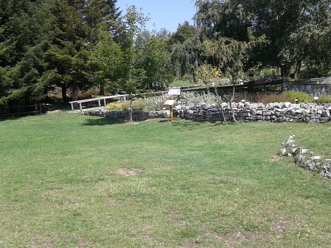 Giardino della Flora Appenninica景点图片