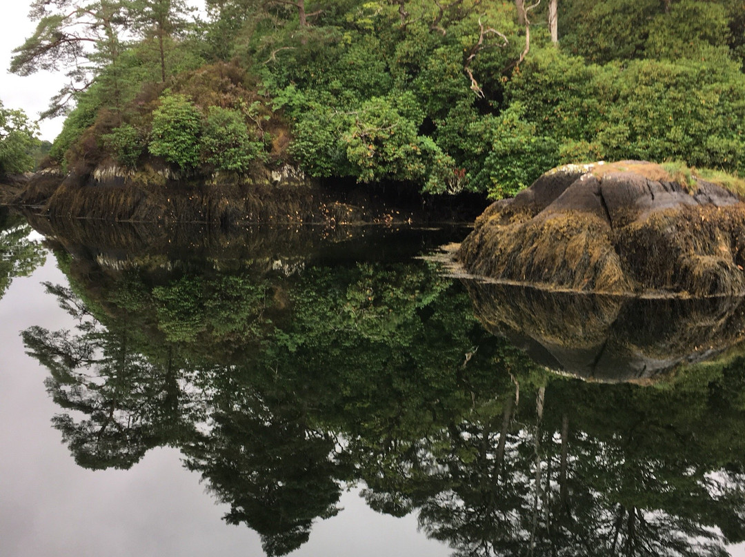 The Blue Pool Ferry-Glengarriff必去景点