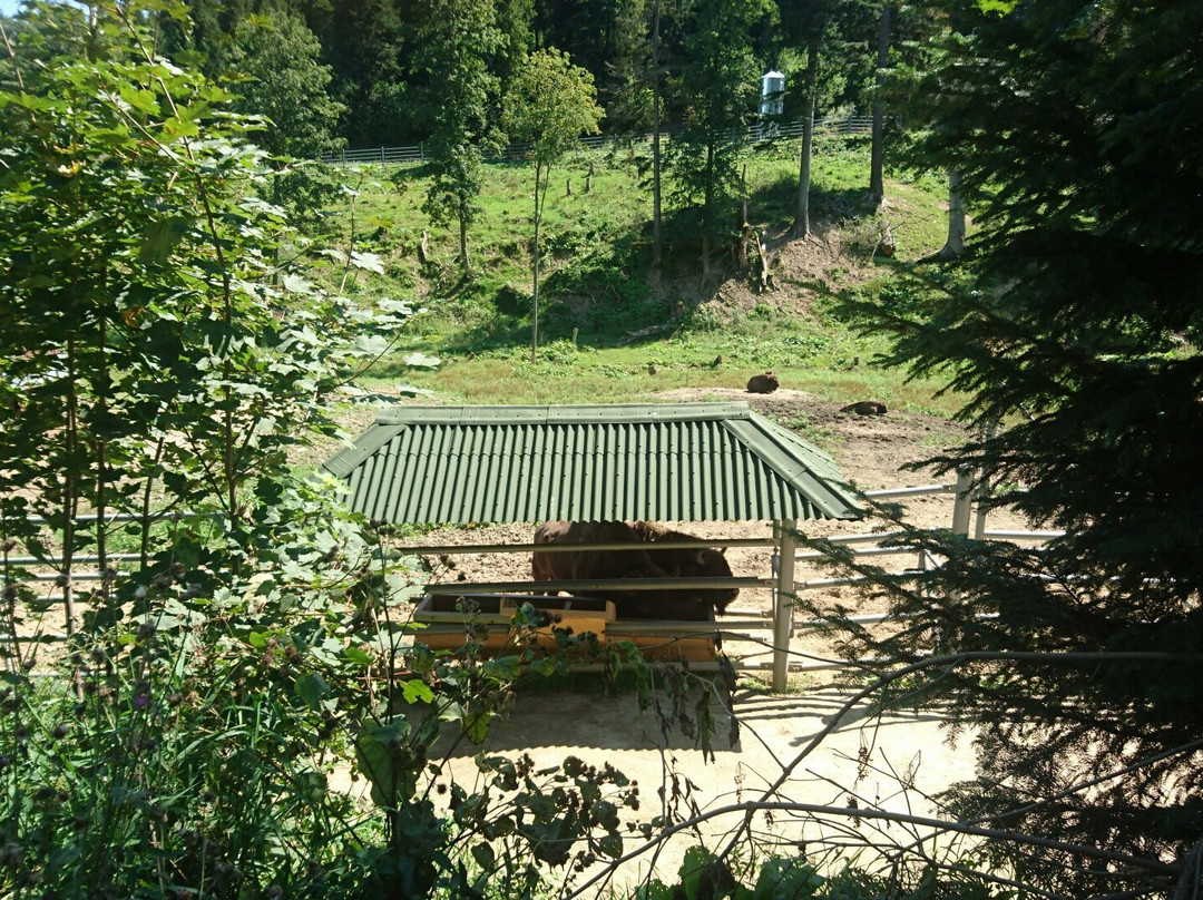 Wetlina旅游景点-Zagroda Żubra w Mucznem