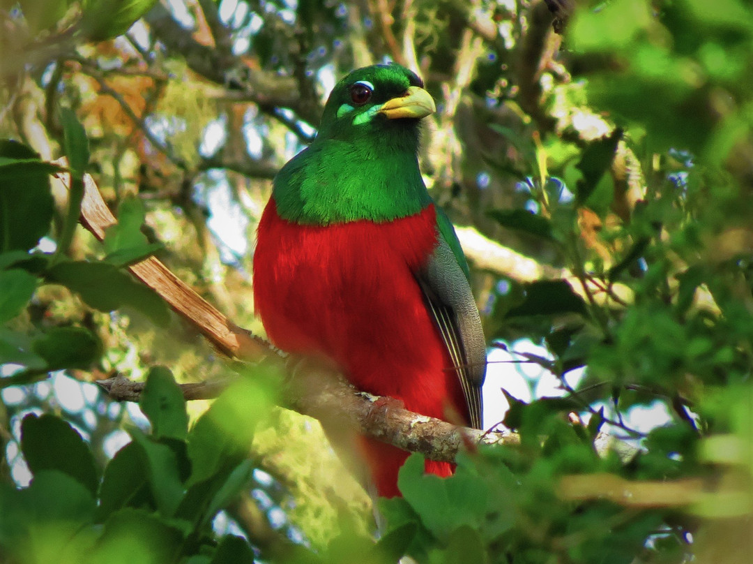 Explore Eden (Birding)-乔治必去景点
