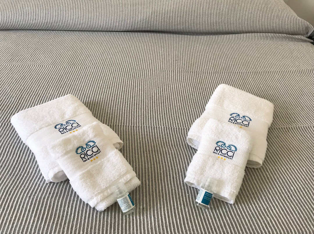 B&B Ricci主图