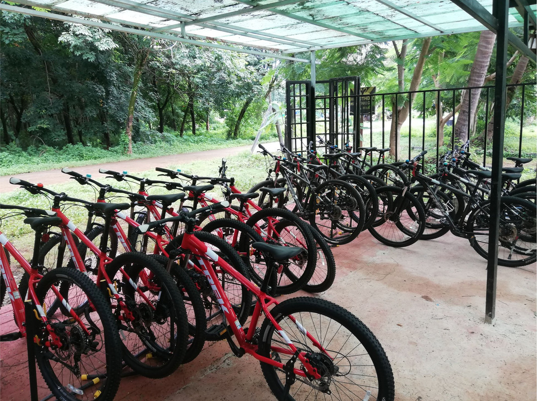 Koh Mak Information & Bike Rental