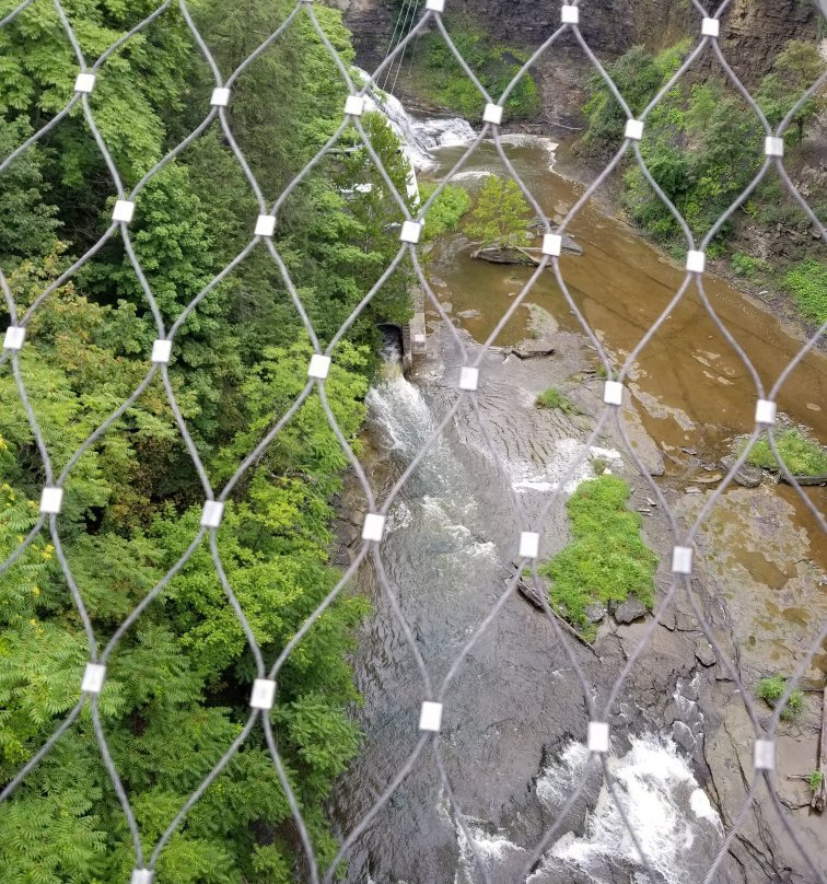 Fall Creek Suspension Bridge景点图片