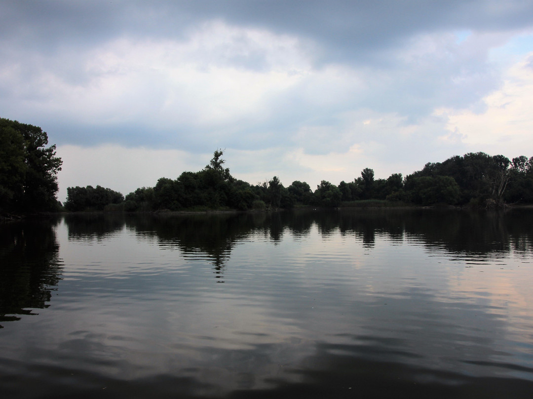 Kopacki Rit Nature Park景点图片