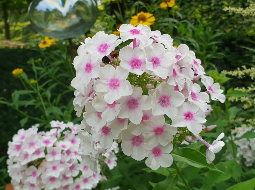 Garten Picker-Borken必去景点