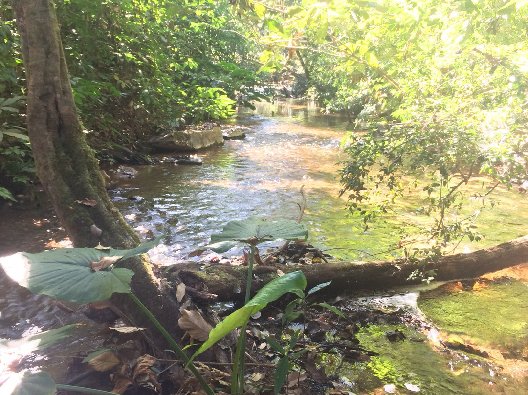 State of Tocantins旅游景点-Cachoeira da Re