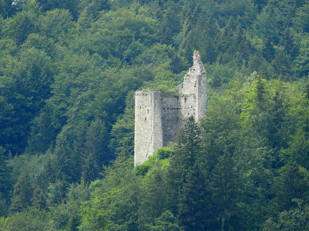 Burg Vilsegg景点图片