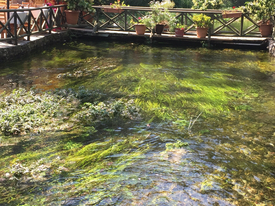 Demircioglu Park Hotel主图