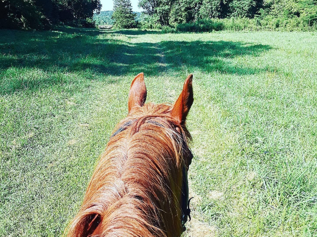 Pot A Gold Western Adventures-布兰森必去景点