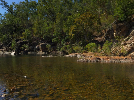Alligator Falls Track-Alligator Creek必去景点