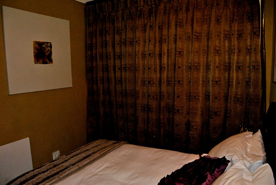 Birch Tree B&B主图