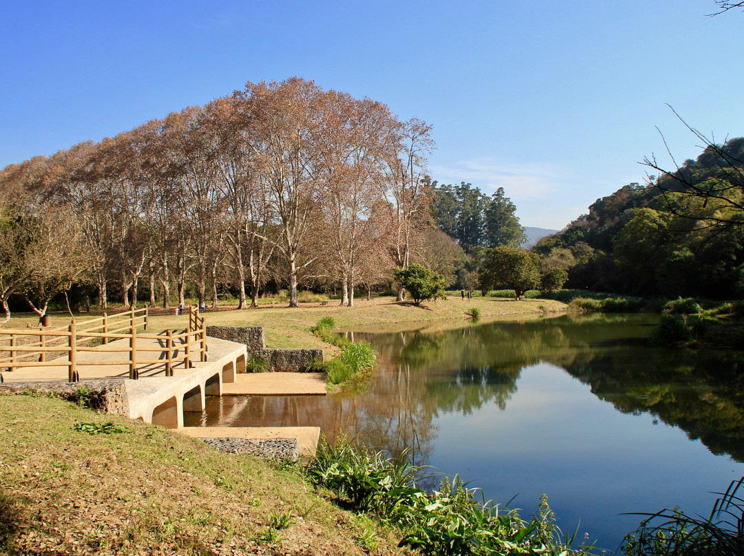 彼得马里茨堡旅游景点-KwaZulu-Natal National Botanical Garden