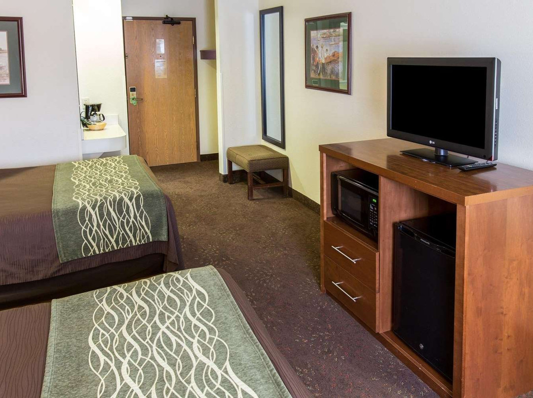 Comfort Inn Okemos - East Lansing主图