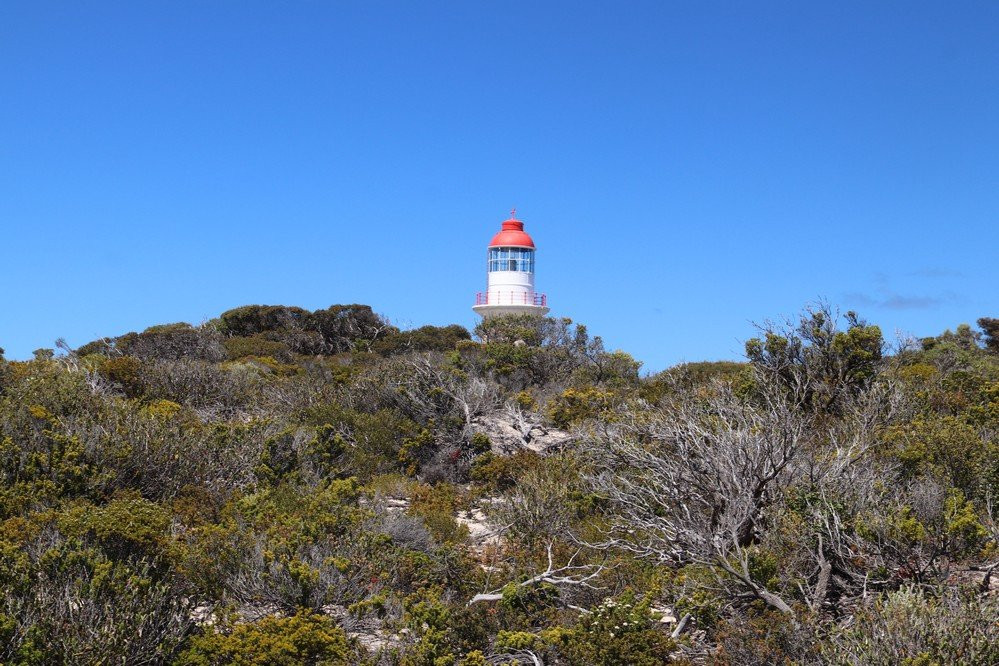 Cape du Couedic Lighthouse景点图片