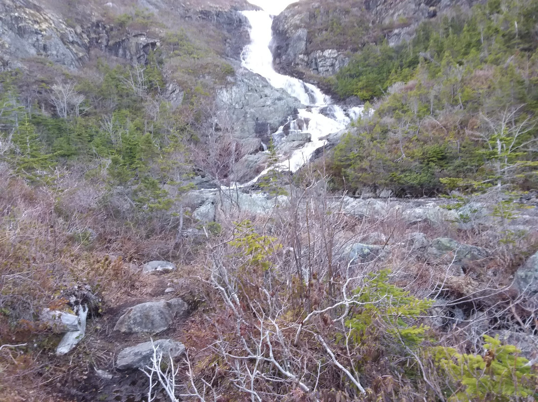 Barachois Falls Hiking Trail景点图片