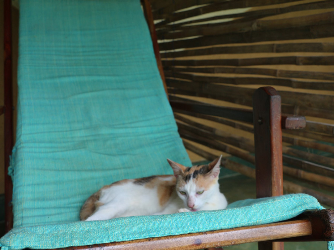 Natural Mystic Sanctuary主图