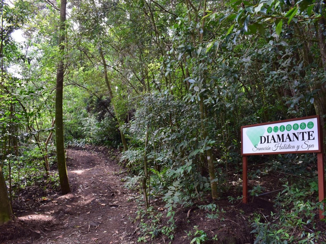 Spa Diamante-蒙特沃德必去景点