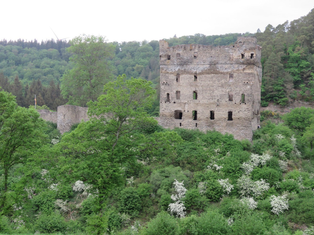 Burg Balduinseck景点图片